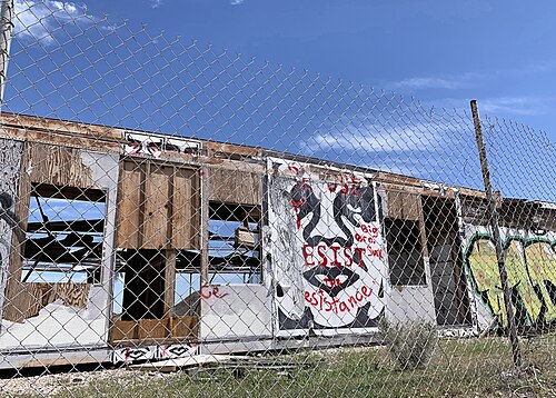 Shepard Fairey artwork